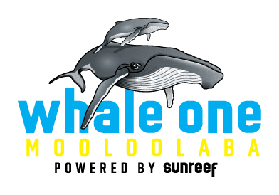 Whale One